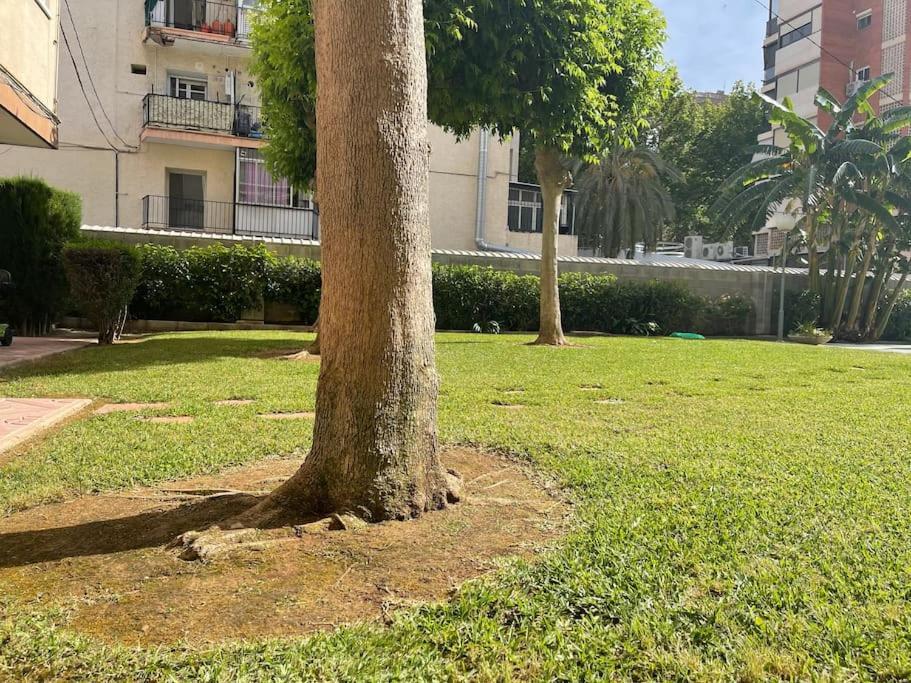 Inmejorable Ubicacion,70M Playa 70M Pueblo Lägenhet Benidorm Exteriör bild